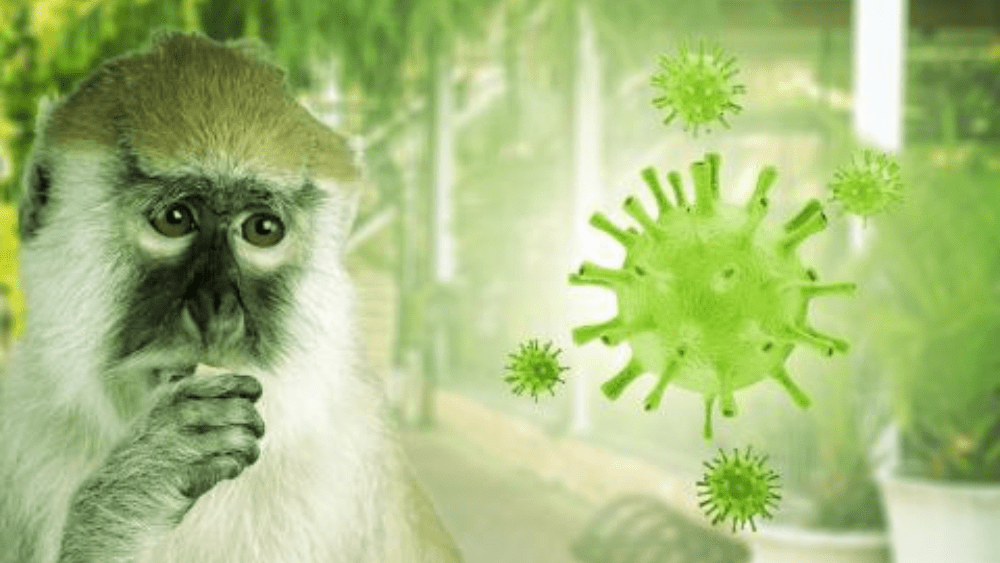 MONKEYPOX: Why monkeypox remains a threat